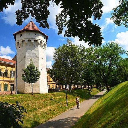 Casa Panzarului Daire Sibiu Dış mekan fotoğraf